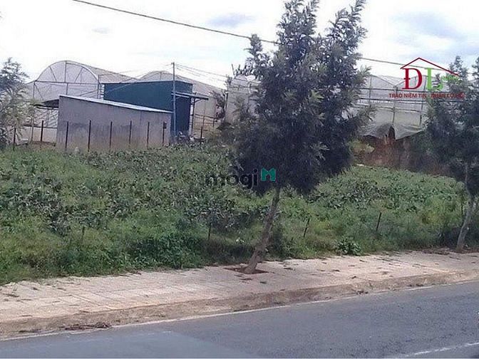 Hình ảnh Cho thuê đất mặt tiền Huỳnh Tấn Phát phường 11 Đà Lạt view cực đẹp