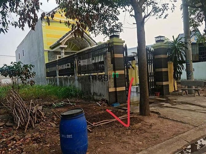 Hình ảnh đường nhựa 16m dân cư hiện hữu xây dựng tự do full