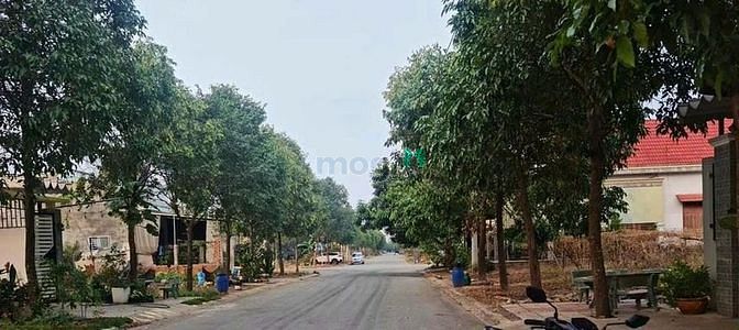 Hình ảnh đường nhựa 16m dân cư hiện hữu xây dựng tự do full