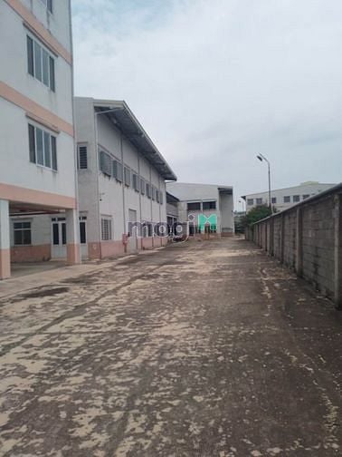 Hình ảnh cho thuê kho 1100m, PCCC tự động tại KCN TÂN TẠO, BÌNH TÂN