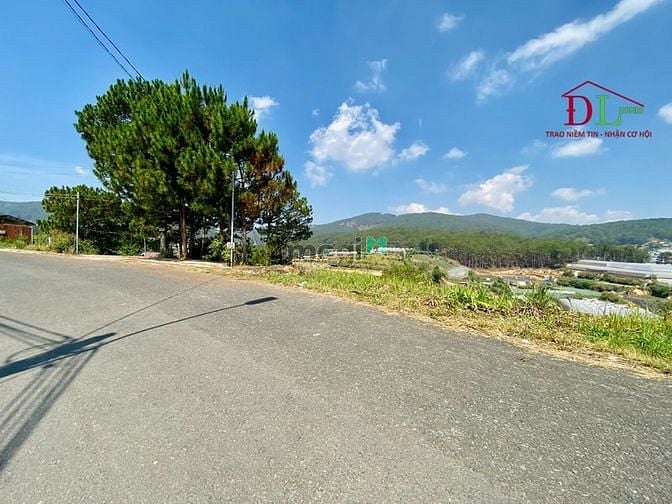 Hình ảnh Bán đất 2 mặt tiền An Sơn phường 4 Đà Lạt view đồi thông cực đẹp
