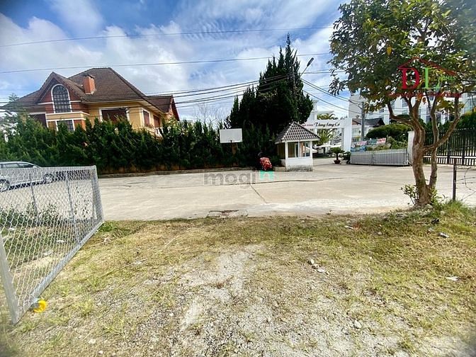 Hình ảnh Bán đất Phan Chu Trinh phường 9 Đà Lạt thích hợp Trang MB66.COM Chính Thức - MB 66 Uy Tín kinh doanh