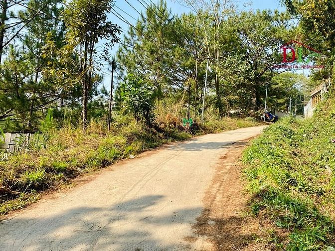 Hình ảnh Bán đất Đặng Thái Thân Phường 3 Đà Lạt thích hợp Trang MB66.COM Chính Thức - MB 66 Uy Tín sinh lời