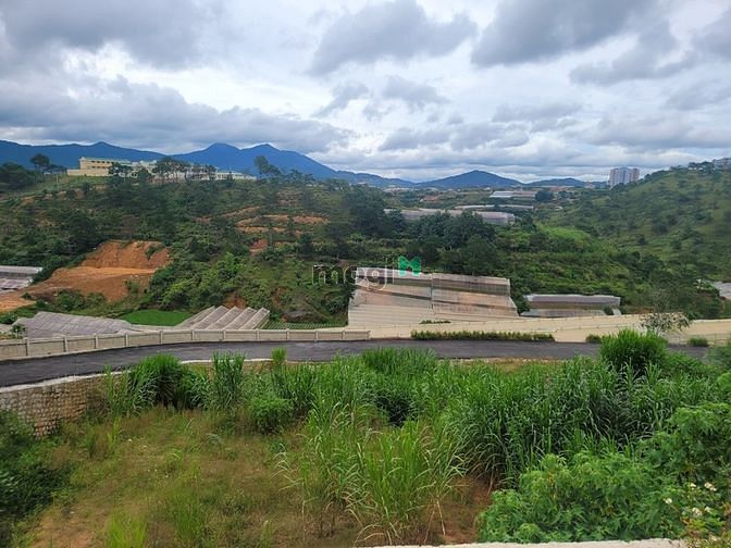 Hình ảnh Đất biệt thự 270m2, view đồi thông, mặt đường DanKia, p7, TP Đà Lạt