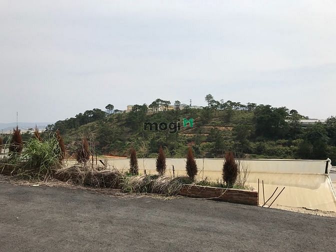 Hình ảnh Đất biệt thự 270m2, view đồi thông, mặt đường DanKia, p7, TP Đà Lạt