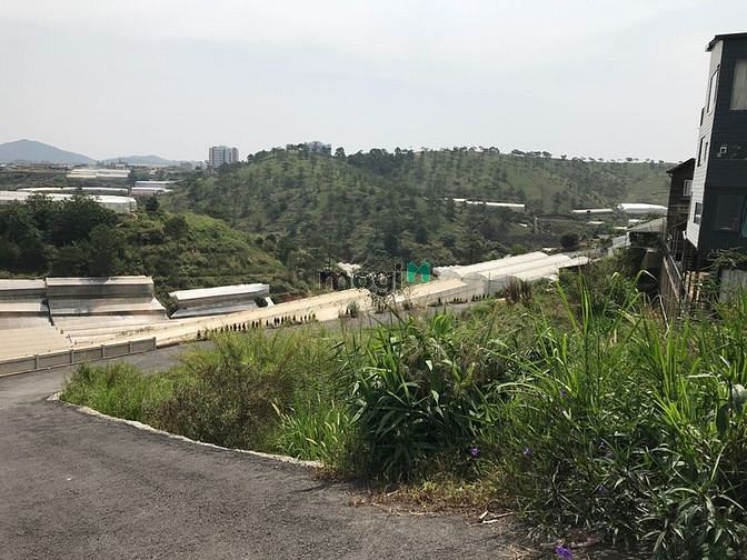 Hình ảnh Đất biệt thự 270m2, view đồi thông, mặt đường DanKia, p7, TP Đà Lạt