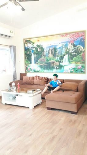 Hình ảnh Cho thuê căn hộ Penthouse Hưng Vượng 1, Quận 7 + Sân thượng !