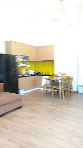 Hình ảnh Cho thuê căn hộ Penthouse Hưng Vượng 1, Quận 7 + Sân thượng !