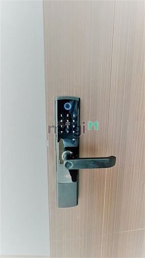 Hình ảnh Cho thuê Trang Chủ MB66.COM / Đăng Ký Tặng 66K Bcons Plaza giá rẻ chỉ 4,5-5TR/THÁNG 2PN2WC