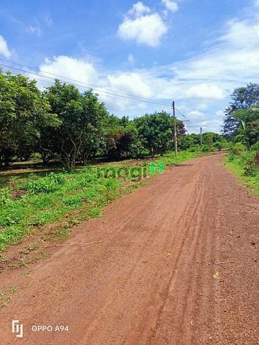Hình ảnh Đất ngay KCN cách TP. Đồng Xoài 3km, giá chỉ 300T / 300m2 đất, có TC