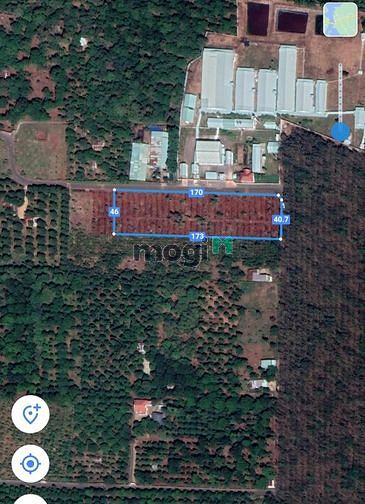 Hình ảnh Bán 3000m2 đất Xã Bàu Hàm Thống Nhất Đồng Nai
