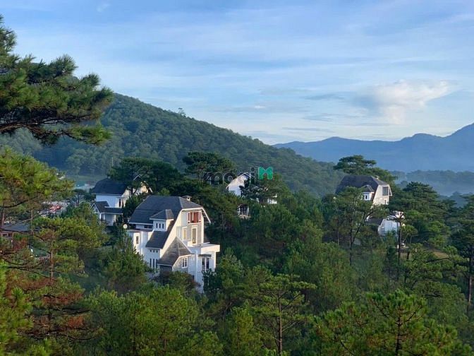 Hình ảnh Đất Biệt thự view đồi thông, gần dinh I, đường Hoàng Hoa Thám, Đà Lạt