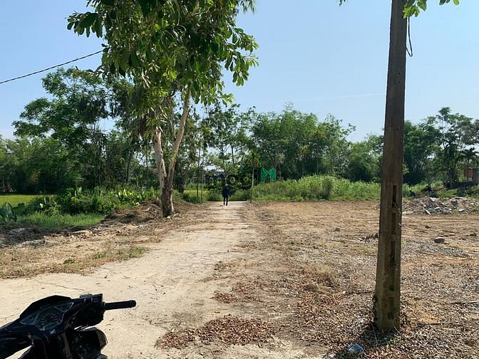 Hình ảnh Bán lô đất view lúa cưc đẹp với tổng diện tích900m2 phân thành 8lô lk