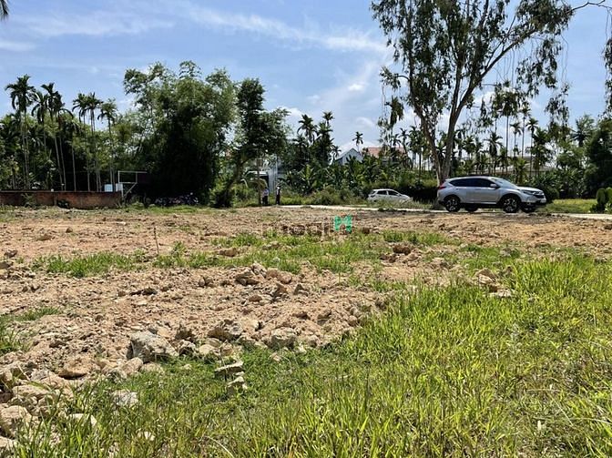 Hình ảnh Bán lô đất view lúa cưc đẹp với tổng diện tích900m2 phân thành 8lô lk