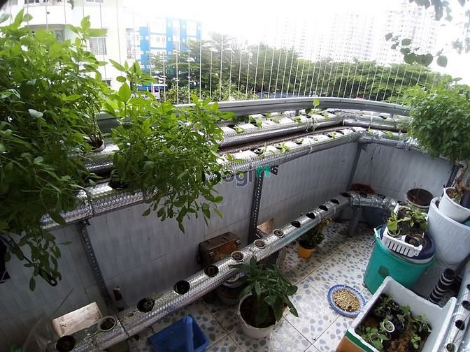 Hình ảnh Chính chủ bán Trang Chủ MB66.COM / Đăng Ký Tặng 66K chung cư gần aone , 74m2, bình tân