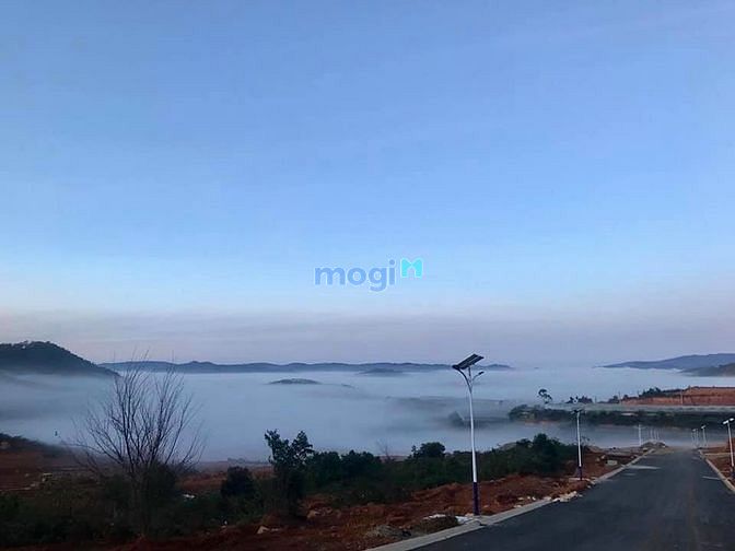 Hình ảnh Đất biệt thự ngay TT Lạc Dương, gần KDL Langbiang, View đồi thông