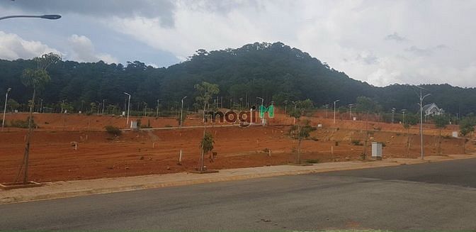 Hình ảnh Đất biệt thự ngay TT Lạc Dương, gần KDL Langbiang, View đồi thông