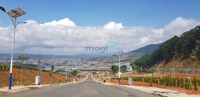 Hình ảnh Đất biệt thự ngay TT Lạc Dương, gần KDL Langbiang, View đồi thông
