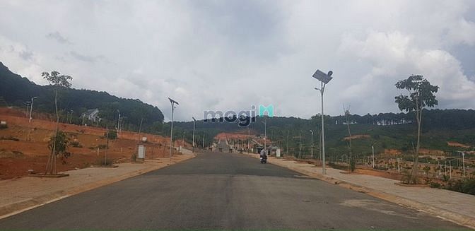 Hình ảnh Đất biệt thự ngay TT Lạc Dương, gần KDL Langbiang, View đồi thông