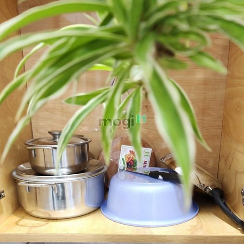 Hình ảnh 🚨Khai trương CH 1 - 2PN Balcony full NT mới 100% LÊ VĂN SỸ QUẬN 3
