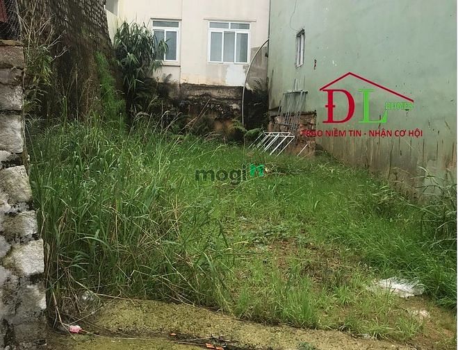 Hình ảnh Bán đất mặt tiền Bùi Thị Xuân Phường 2 Đà Lạt cách Hồ Xuân Hương 500m