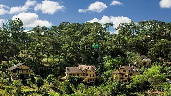 Hình ảnh Đất nền biệt thự view đồi thông 270m2, đường DanKia - p7, TP Đà Lạt