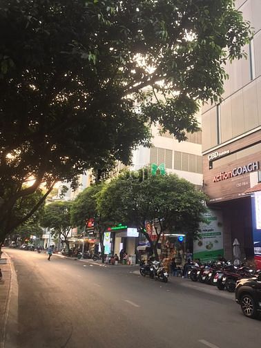 Hình ảnh Nhà cho thuê nguyên căn Đề Thám, Q1. TK 7 lầu. DTSD 540m2