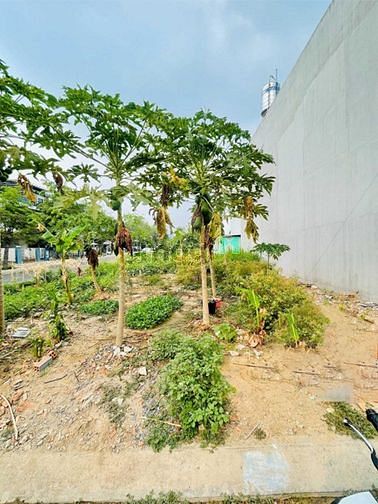 Hình ảnh Chính chủ bán đất hẻm xe hơi TP Thủ Đức