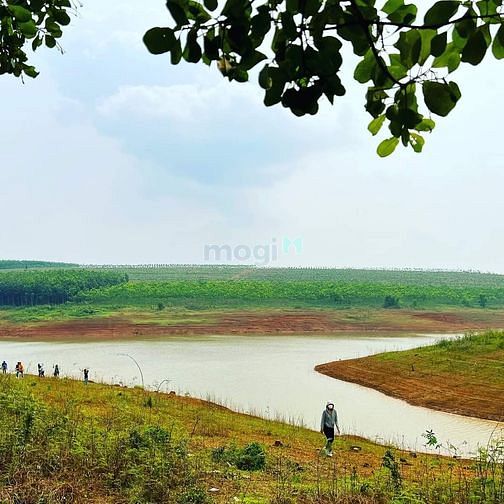 Hình ảnh Đất ven TP. Đồng Xoài, giá ngộp chỉ 250t - 300m2 đất có 100m2 thổ cư