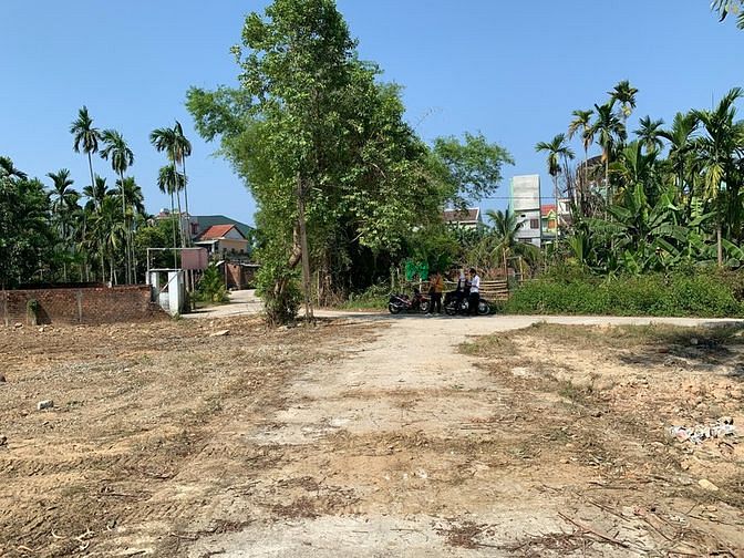 Hình ảnh Bán nhanh lô đất đẹp view lúa với diện tích 900m2 phân thành 8 lô lk