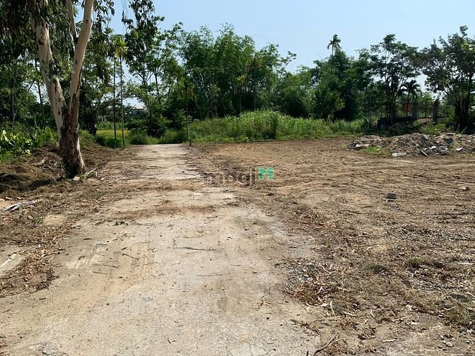 Hình ảnh Bán nhanh lô đất đẹp view lúa với diện tích 900m2 phân thành 8 lô lk