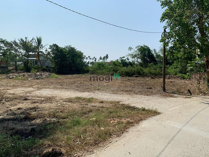 Hình ảnh Bán nhanh lô đất đẹp view lúa với diện tích 900m2 phân thành 8 lô lk