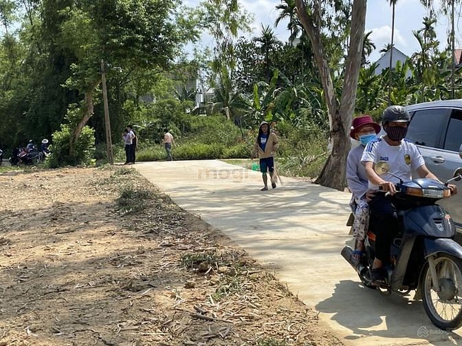Hình ảnh Bán nhanh lô đất đẹp view lúa với diện tích 900m2 phân thành 8 lô lk