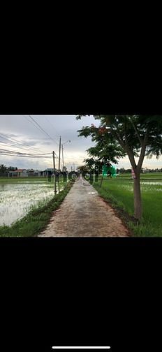 Hình ảnh Vỡ nợ khó khăn , cần ra đi gấp Đất Thổ Cư Đẹp