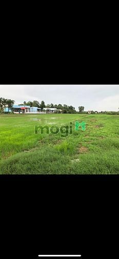 Hình ảnh Vỡ nợ khó khăn , cần ra đi gấp Đất Thổ Cư Đẹp