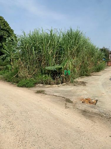 Hình ảnh Lô góc 97 m2 cách CNC Hoà lạc chưa đến 1km