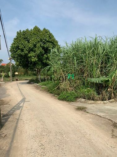 Hình ảnh Lô góc 97 m2 cách CNC Hoà lạc chưa đến 1km