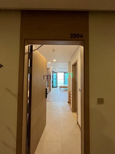 Hình ảnh Cho thuê Studio 1PN cao cấp Lancaster Luminaire chính chủ
