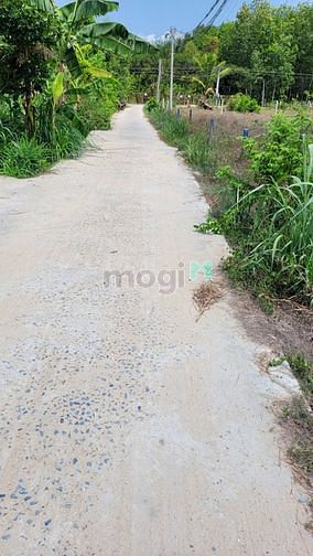 Hình ảnh Bán đất tại Cây Da, Xã Hiệp Thạnh, Huyện Gò Dầu, Tây Ninh giá 790 Triệ