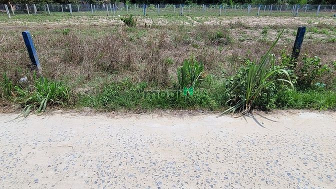 Hình ảnh Bán đất tại Cây Da, Xã Hiệp Thạnh, Huyện Gò Dầu, Tây Ninh giá 790 Triệ