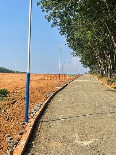 Hình ảnh Đất ven TP. Đồng Xoài , chủ bán gấp 250m2 đất,  có sẵn 100m2 thổ cư