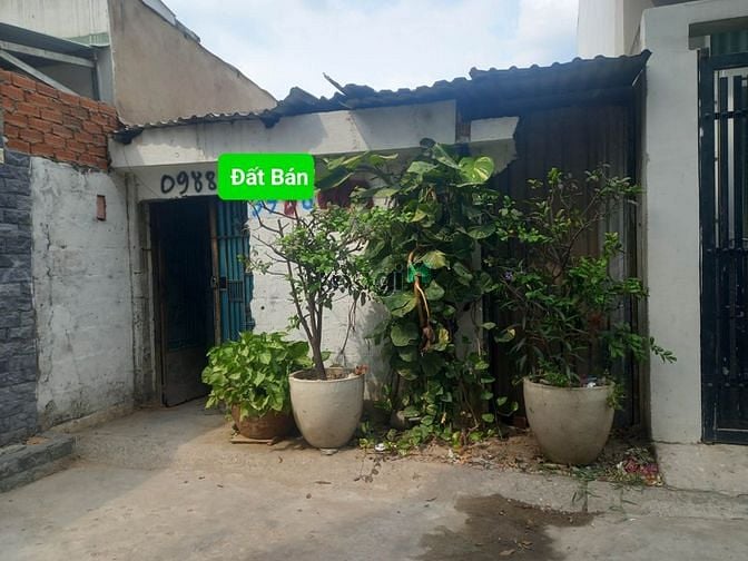 Hình ảnh Bán đất đường số 3 Trường Thọ Tp Thủ Đức