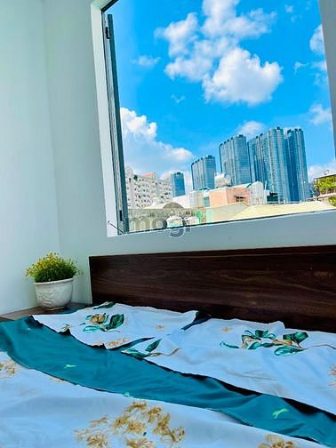 Hình ảnh CHDV ngay trung tâm Bình Thạnh, Ngay Học Viện Cán Bộ