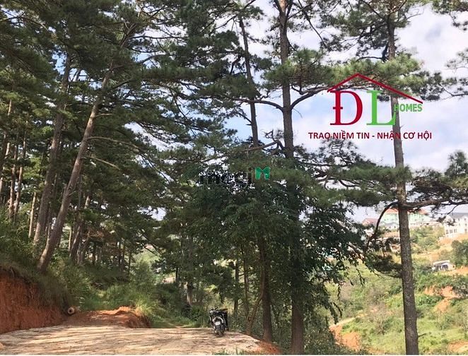 Hình ảnh Bán đất Khe Sanh P10 Đà Lạt view thung lũng đắt giá tiện kinh doanh