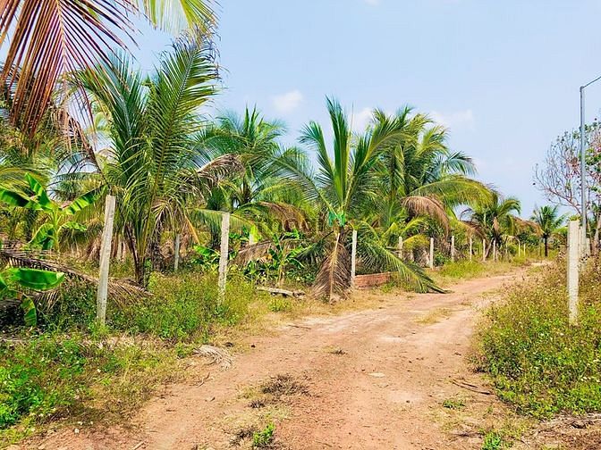Hình ảnh 293m2 đất vườn sổ riêng, cạnh bên có ao cá, đất bám 2 mặt đường
