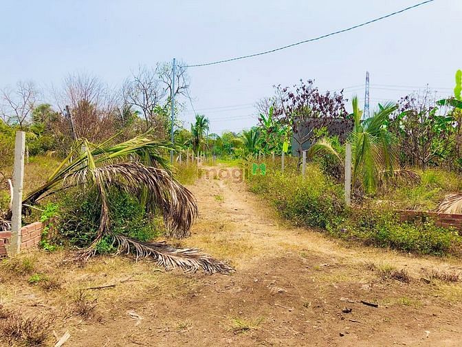 Hình ảnh 293m2 đất vườn sổ riêng, cạnh bên có ao cá, đất bám 2 mặt đường