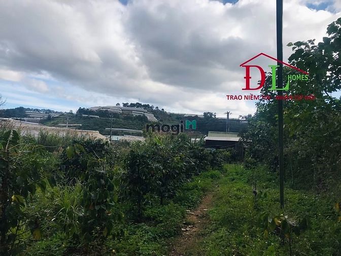 Hình ảnh Bán đất hai mặt tiền Cam Ly phường 7 Đà Lạt view thung lũng cực đẹp