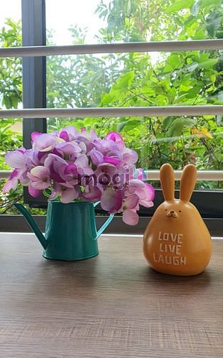 Hình ảnh Căn Duplex siêu xinh 60m2 ngay Bình Trưng Tây