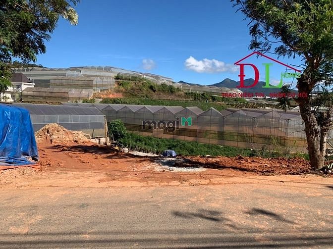 Hình ảnh Bán đất mặt tiền Đa Phú P7 Đà Lạt view thung lũng săn mây đắt giá