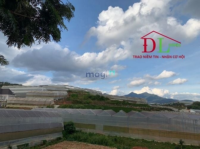 Hình ảnh Bán đất mặt tiền Đa Phú P7 Đà Lạt view thung lũng săn mây đắt giá